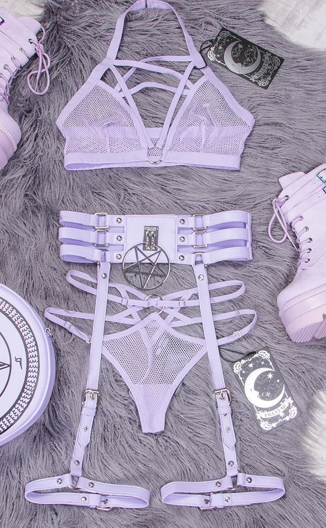 Baby Hex Suspender Belt | Lilac [Plus-Size]