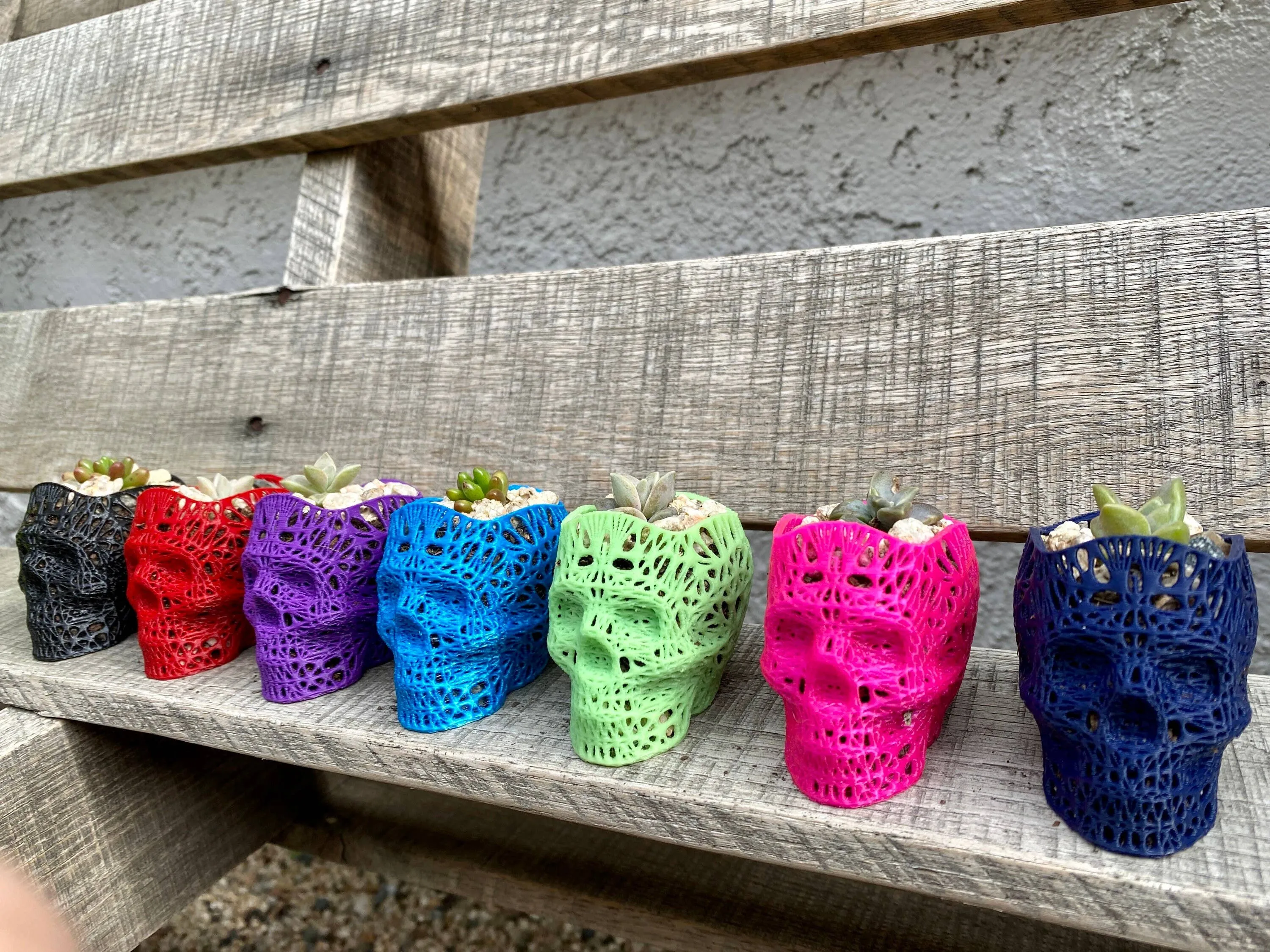 NumanPrints - 3D Printed Succulent Skull Planter Pot Small Indoor: Pink / 5 Inch Skull