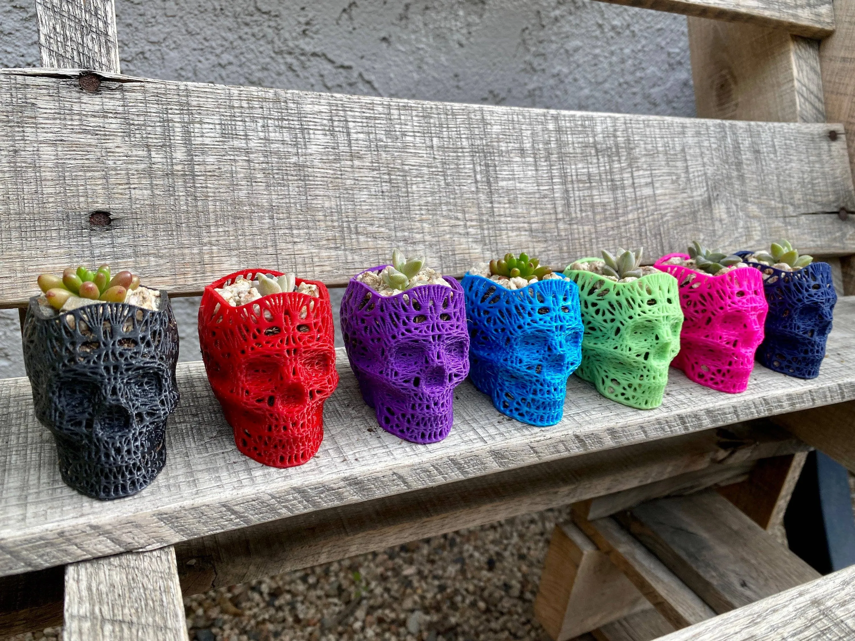 NumanPrints - 3D Printed Succulent Skull Planter Pot Small Indoor: Pink / 5 Inch Skull