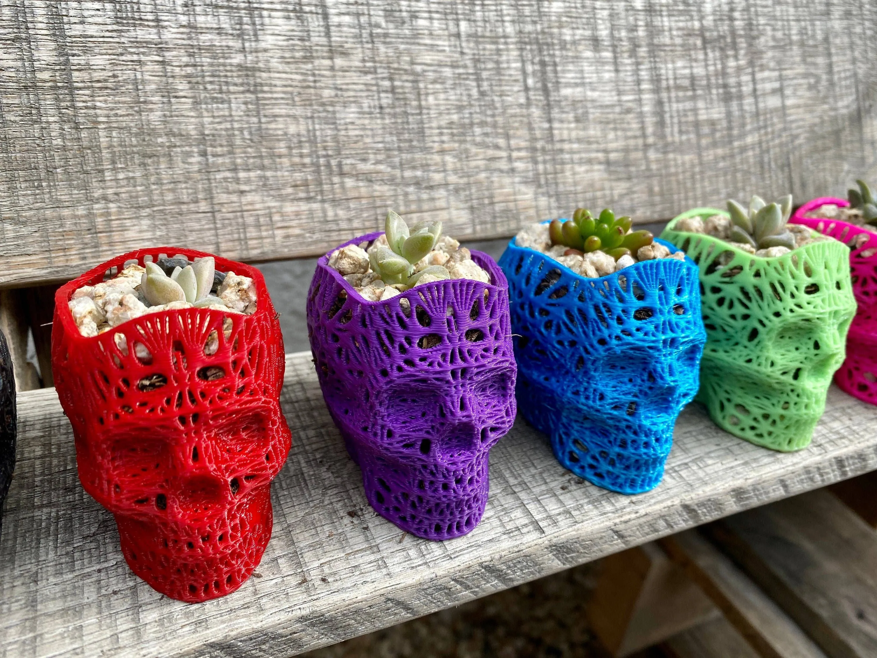 NumanPrints - 3D Printed Succulent Skull Planter Pot Small Indoor: Pink / 5 Inch Skull