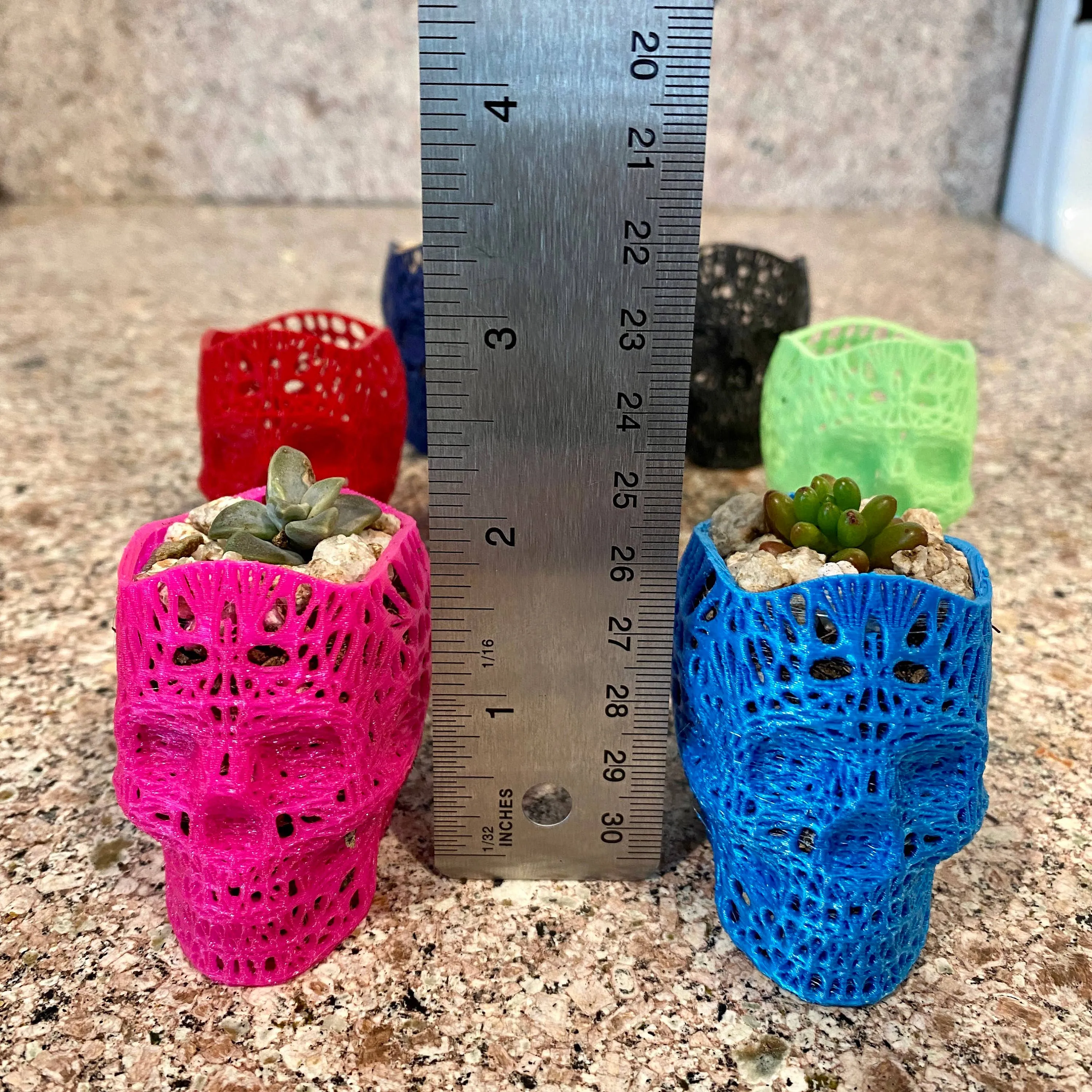 NumanPrints - 3D Printed Succulent Skull Planter Pot Small Indoor: Pink / 5 Inch Skull