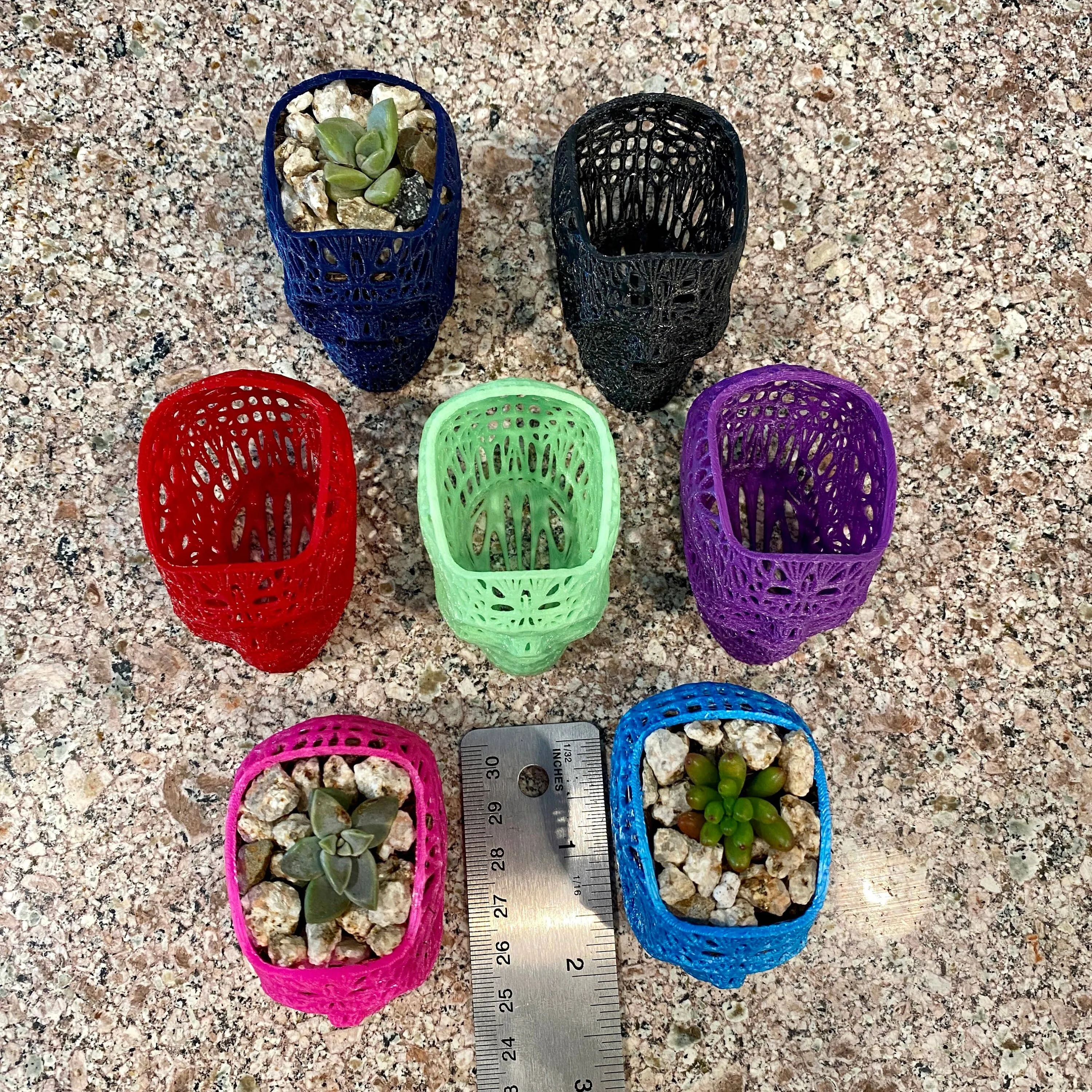 NumanPrints - 3D Printed Succulent Skull Planter Pot Small Indoor: Pink / 5 Inch Skull