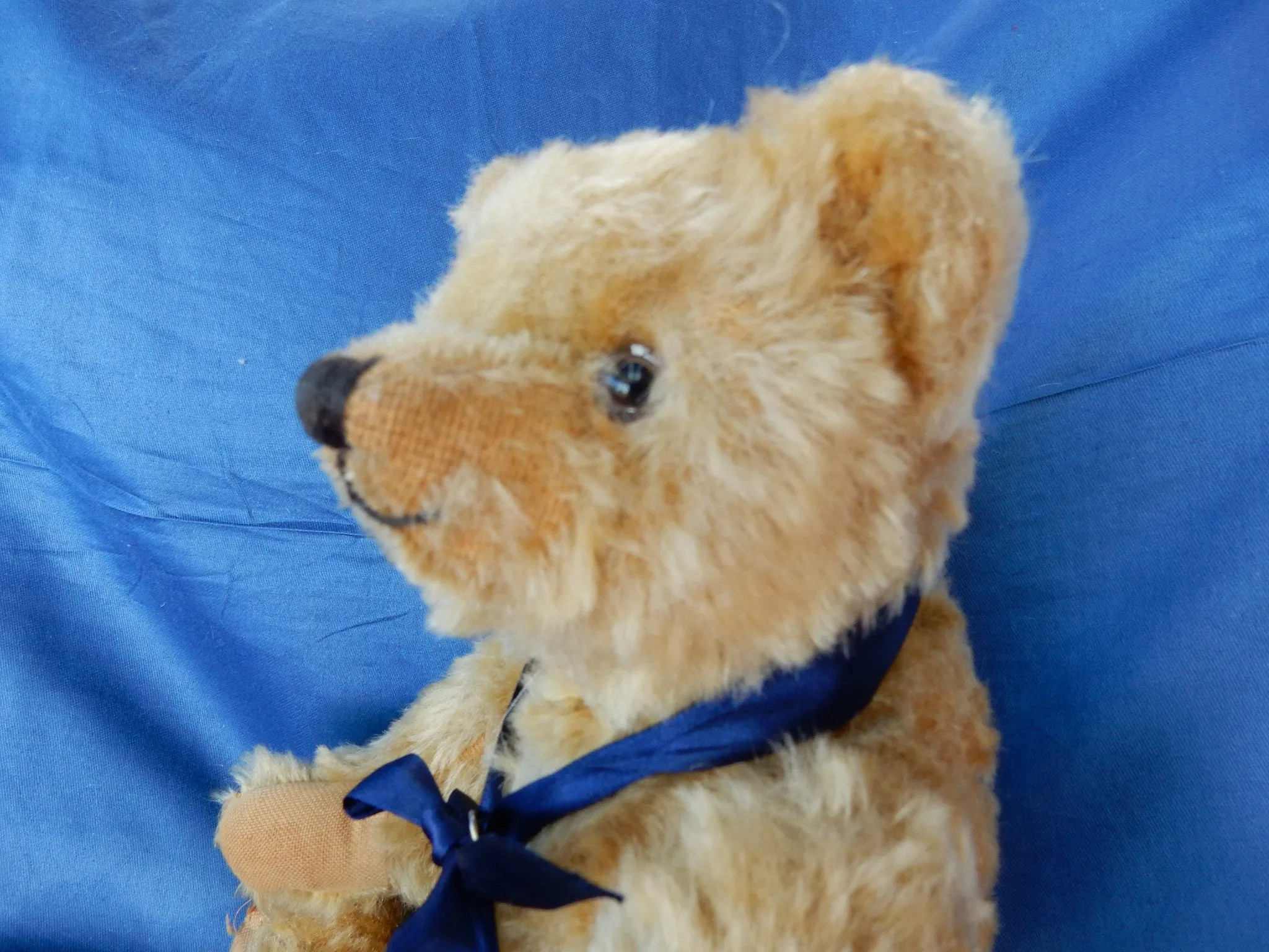SOLD (1920)  Winston The Second For Sale £350
